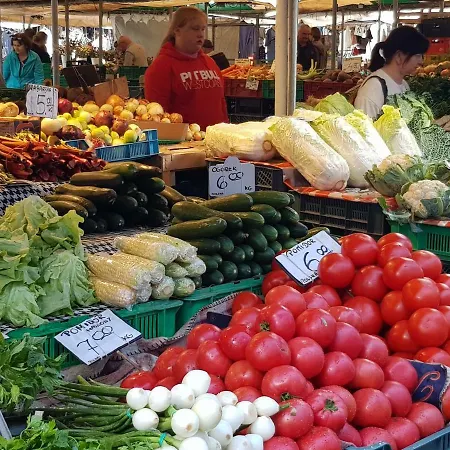 Movie Jezyce شقة *