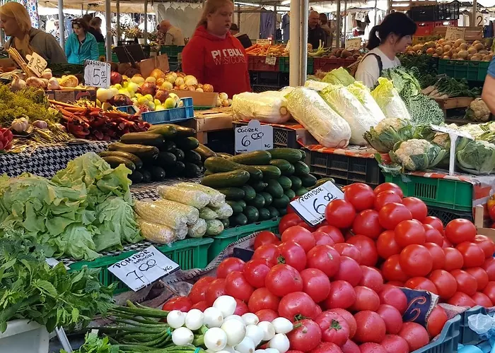 Movie Jezyce Apartment *